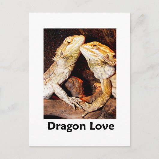 drakenliefde briefkaart (Voorkant)