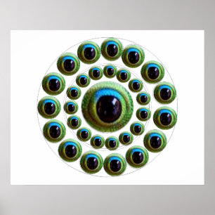 Drakenoog - Succes Chinees Collectie Poster