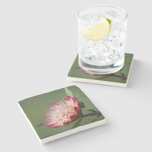 Drakensberg Sugarbush (Protea Dracomontana) Stenen Onderzetter (Zijkant)