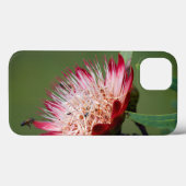 Drakensberg-suikerbos (Protea Dracomontana) Case-Mate iPhone Case (Achterkant (horizontaal))