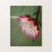 Drakensberg-suikerbos (Protea Dracomontana) Legpuzzel (Verticaal)
