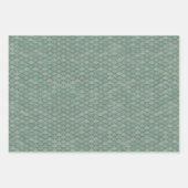 Drakenschalen Verpakkende papierbladen Inpakpapier Vel (Voorkant 3)