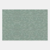 Drakenschalen Verpakkende papierbladen Inpakpapier Vel (Voorkant 2)