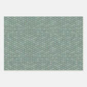 Drakenschalen Verpakkende papierbladen Inpakpapier Vel (Voorkant)