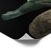 Drakenschildpad poster (Hoek)