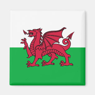 Drakenvlag van Wales, Keltische Welshe nationale v Magneet