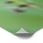 Drakenvlieg op gras, Canada Poster (Hoek)