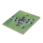 Drakenvlieg op gras, Canada Tegeltje (Zijkant)