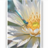 Drakenvliegbloem Sticker (Voorkant)