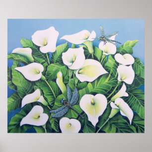 Drakenvliegen Poster