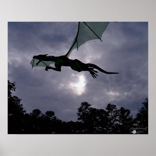 Drakenvlucht Poster (Voorkant)