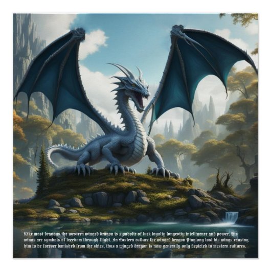 Drakenwoede Perfect Poster (Voorkant)