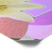 Drama free zone_ Poster (Hoek)