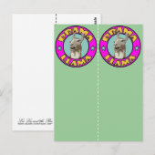Drama Llama, 2x bladwijzer briefkaart (Voorkant / Achterkant)