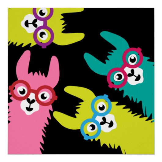 Drama Llama Colorful Camelid Perfect Poster (Voorkant)