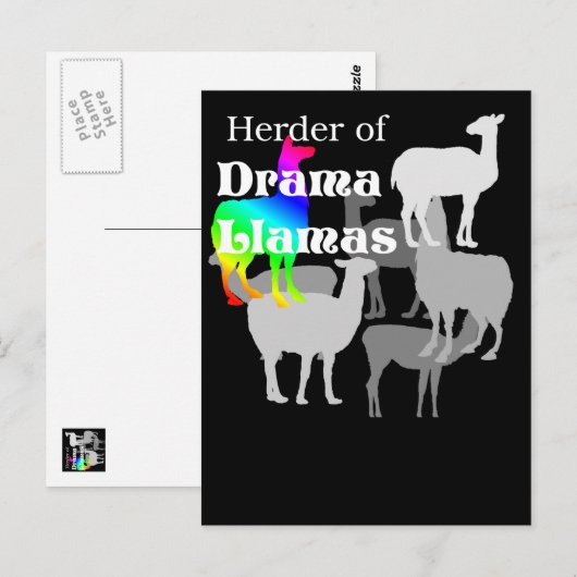 Drama Llama Herder Briefkaart (Voorkant / Achterkant)