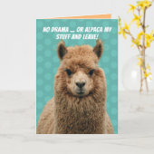 Drama Llama of Alpaca mijn stuff Birthday Kaart (Gele Bloem)
