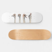"Drama Queen" Funny Ostriches schilderen Skateboard (Horizontaal)