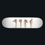 "Drama Queen" Funny Ostriches schilderen Skateboard<br><div class="desc">Dit is een schilderij van een struisvogel die ik ontmoette in de Como Zoo in St. Paul, MN. Hij was echt expressief en een geweldig vak om afbeeldingen van te nemen. Later schilderde ik zijn verschillende uitdrukkingen in de waterverf.</div>