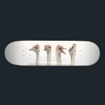 "Drama Queen" Funny Ostriches schilderen Skateboard<br><div class="desc">Dit is een schilderij van een struisvogel die ik ontmoette in de Como Zoo in St. Paul,  MN. Hij was echt expressief en een geweldig vak om afbeeldingen van te nemen. Later schilderde ik zijn verschillende uitdrukkingen in de waterverf.</div>
