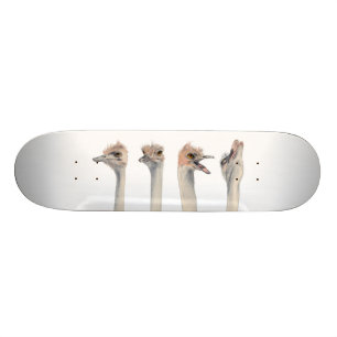 "Drama Queen" Funny Ostriches schilderen Skateboard