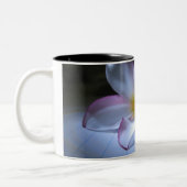 DRAMA TWEEKLEURIGE KOFFIEMOK (Links)