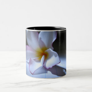 DRAMA TWEEKLEURIGE KOFFIEMOK