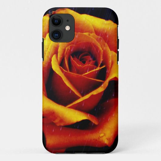 Drama van het Oranje Roos iPhone 5 Hoesje (Achterkant)