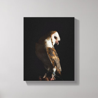 Dramatic Barn Owl Portrait in the Dark Canvas Afdruk