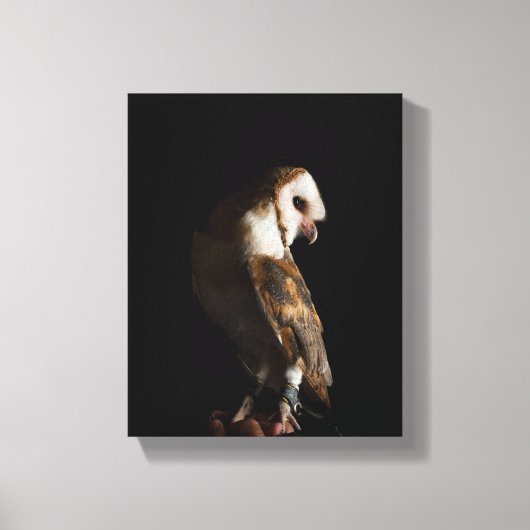Dramatic Barn Owl Portrait in the Dark Canvas Afdruk (Voorkant)