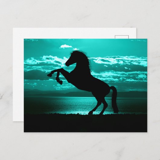 Dramatic Black Horse Teal Sky Peaceful Postcard Briefkaart (Voorkant / Achterkant)