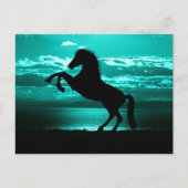 Dramatic Black Horse Teal Sky Peaceful Postcard Briefkaart (Voorkant)