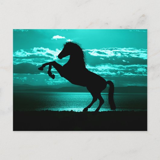 Dramatic Black Horse Teal Sky Peaceful Postcard Briefkaart (Voorkant)