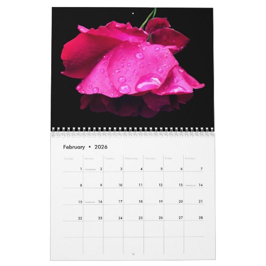 Dramatic Flowers Photography  Kalender (Feb 2026)