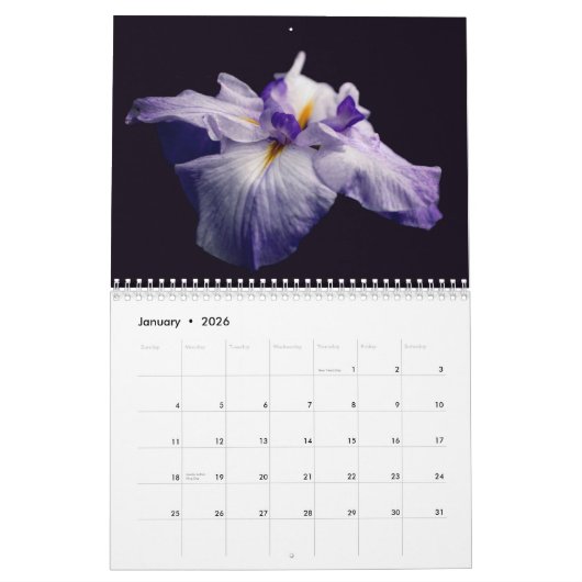 Dramatic Flowers Photography  Kalender (Jan 2026)