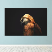 Dramatic Low Key Portrait of a Majestic Hawk Canvas Afdruk (Insitu (Houten vloer))