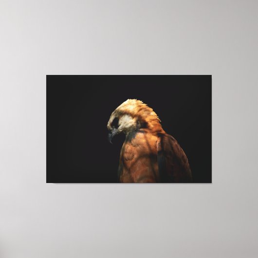 Dramatic Low Key Portrait of a Majestic Hawk Canvas Afdruk (Voorkant)