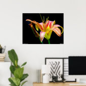 Dramatic Tawny Daylily Poster (Thuiskantoor)