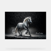 Dramatic White Horse Galloping in Rain Acryl Bord (Voorkant)