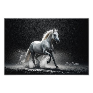 Dramatic White Horse Galloping in Rain Foto Afdruk