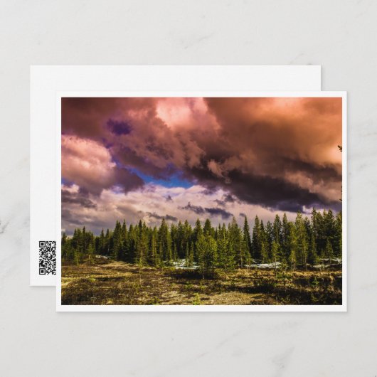 Dramatisch noordelijk landschap briefkaart (Voorkant / Achterkant)