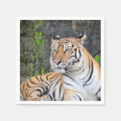Dramatisch Portret van Rustende Tijger Servet (Voorkant)