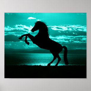 Dramatisch Zwarte Paard Teal Lucht Vredig  Poster