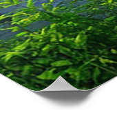 Dramatische bliksem slaat toe boven een sereen bos poster (Hoek)