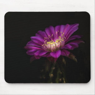 Dramatische bloemkool van de vlotterCake Cactus Muismat