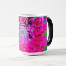 Dramatische Crimson Red en Pink Dahlia Flower