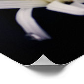 Dramatische Daisy Flower Poster (Hoek)