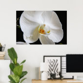 Dramatische eenwitte orchidee bloesem op zwart poster (Thuiskantoor)