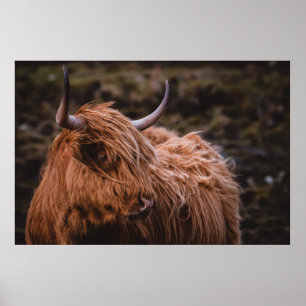 DRAMATISCHE EN MOODYLANDSCHAPEN DIE DOOR DE NATU Z POSTER