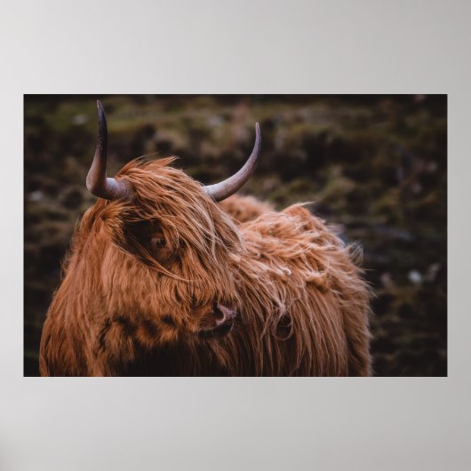 DRAMATISCHE EN MOODYLANDSCHAPEN DIE DOOR DE NATU Z POSTER (Voorkant)